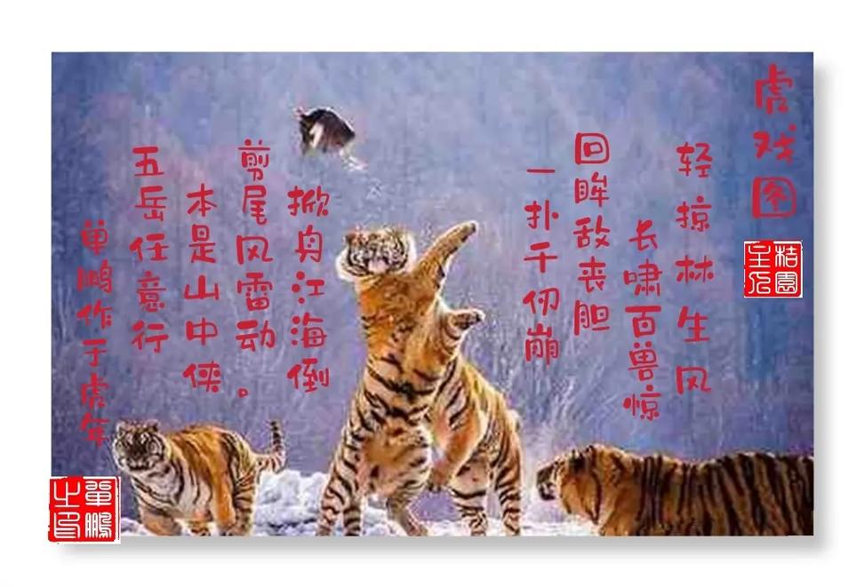 虎啸诗行何处寻？-图2