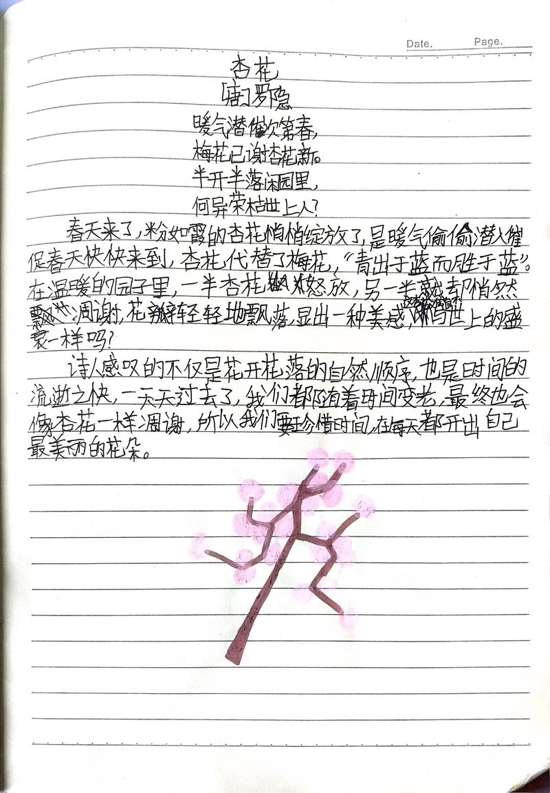 杏诗何意？-图1