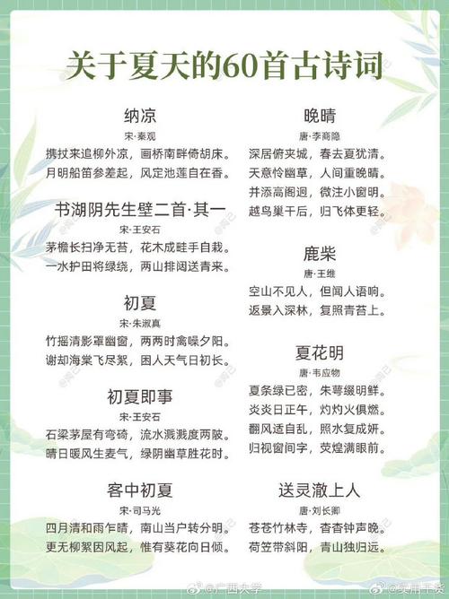 夏天的歌，藏着怎样的诗意？-图1