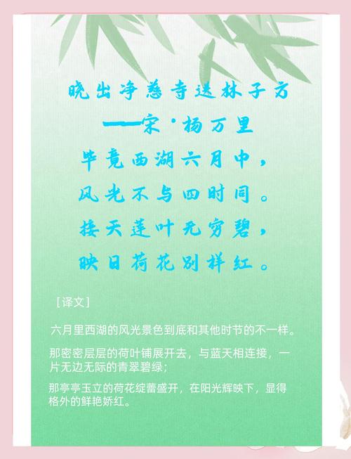 夏天的歌，藏着怎样的诗意？-图2