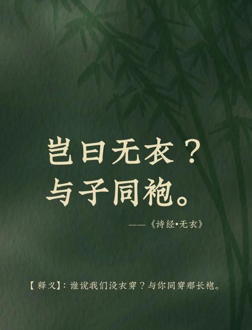 子衣字诗有何独特魅力？-图1