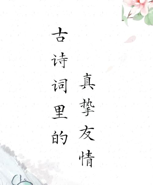 友情诗里藏着什么？-图2